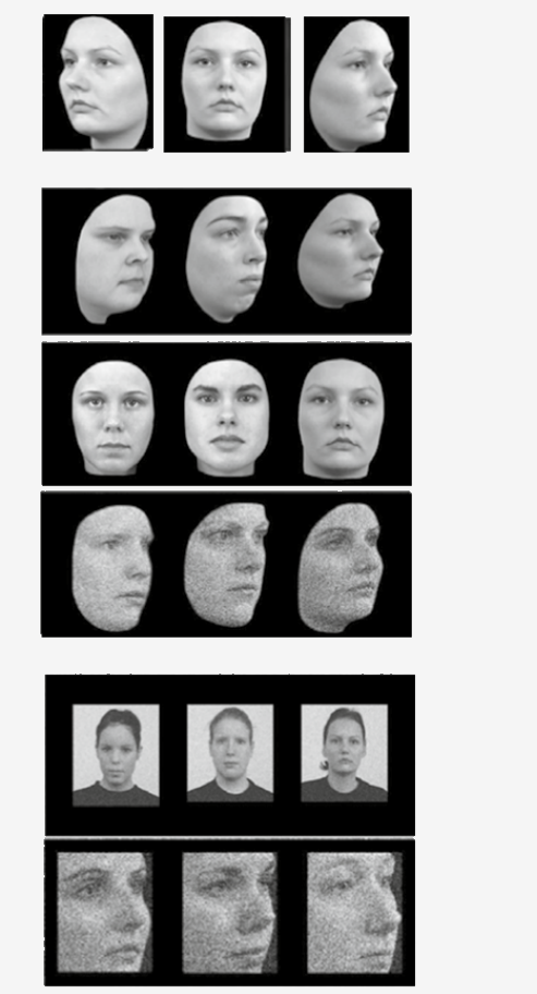 Cambridge Face Memory Test - female